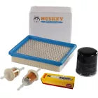 Golf Cart Tune Up Kit With NGK Spark Plug For Club Car DS 4 cycle 1992-up